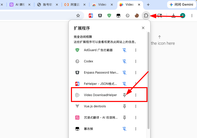 钉住 Chrome 插件