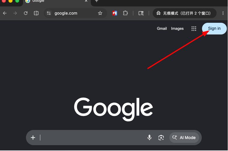 打开 Google 登录页面